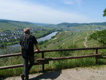 Ausblick auf die Weinberge und die Mosel